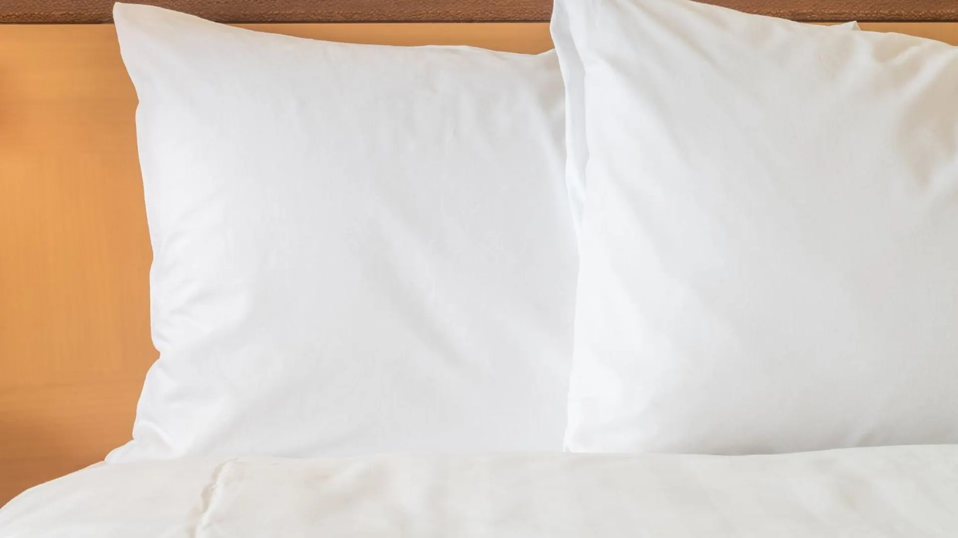 Holiday Inn Express Toronto-North York By Ihg Canadá